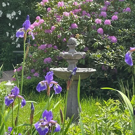 Preziosa * Idar-Oberstein