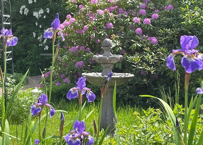 Preziosa * 伊达尔-奥伯施泰因